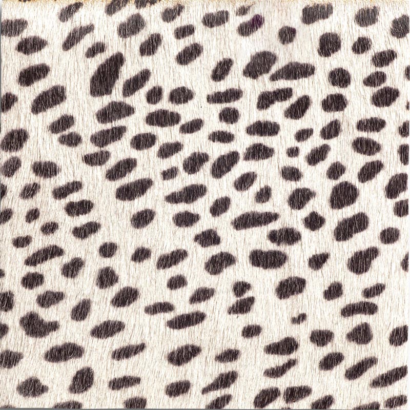 Snow Leopard  Edelman Leather